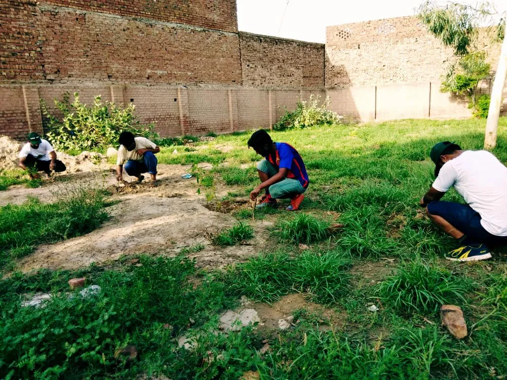 Green Seekers Activity